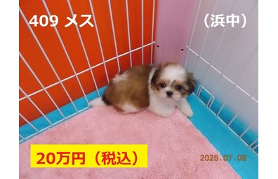 浜中7月