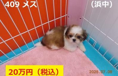 浜中7月
