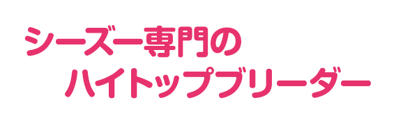 シーズー専門のハイトップブリーダー