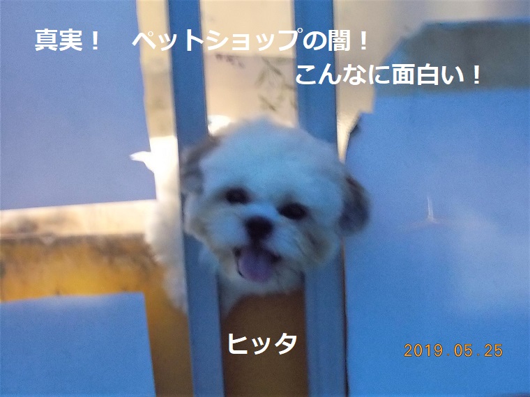 真実